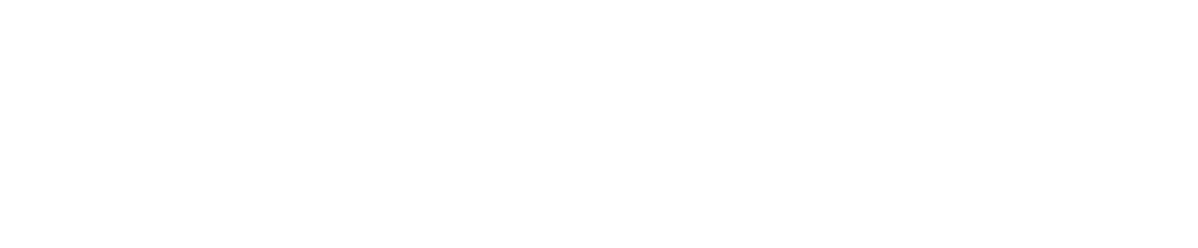 Terramersive